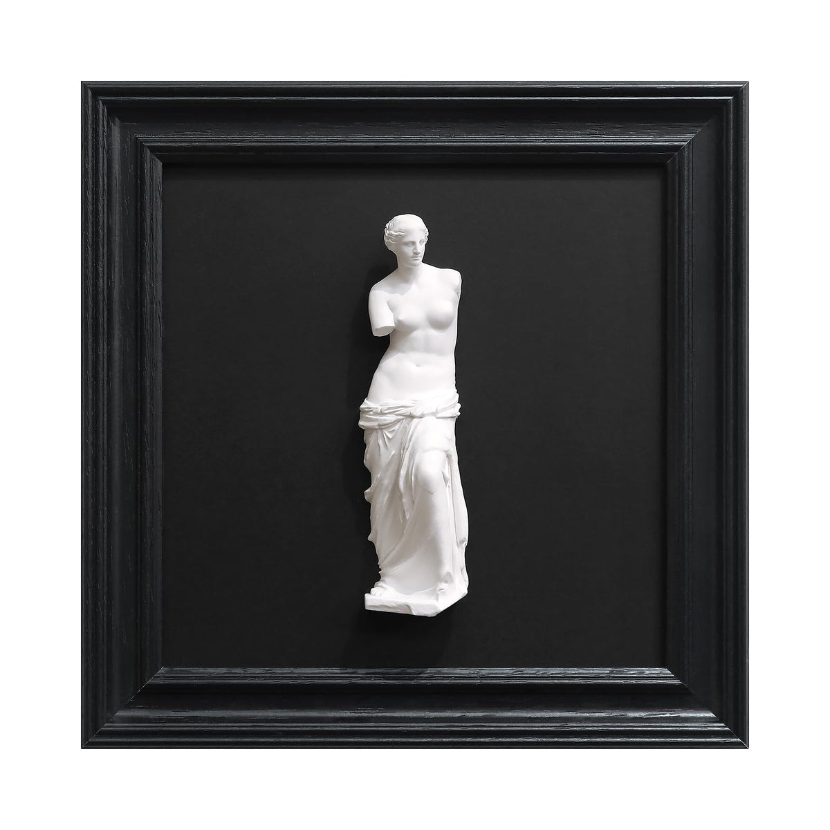 FOLKOR LIFE Framed Black and White Wall Sculpture Venus de Milo