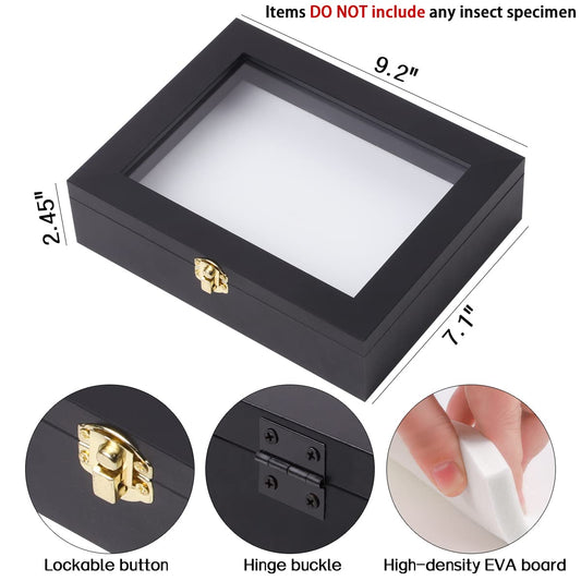 IHEIPYE Insect Display Case Bug Display Case Shadow Box Small Black