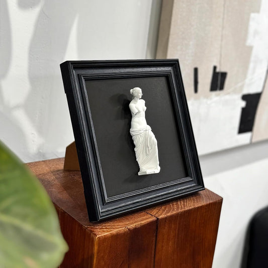 FOLKOR LIFE Framed Black and White Wall Sculpture Venus de Milo