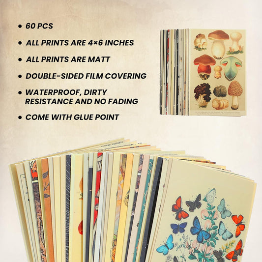 Containlol 60 Pcs Vintage Posters, Wall Collage Kit Aesthetic Pictures | Cottagecore Room Decor Maximalist Art Paintings Prints Botanical Illustration Prints Photo Wall Collection Dorm Bedroom Decor