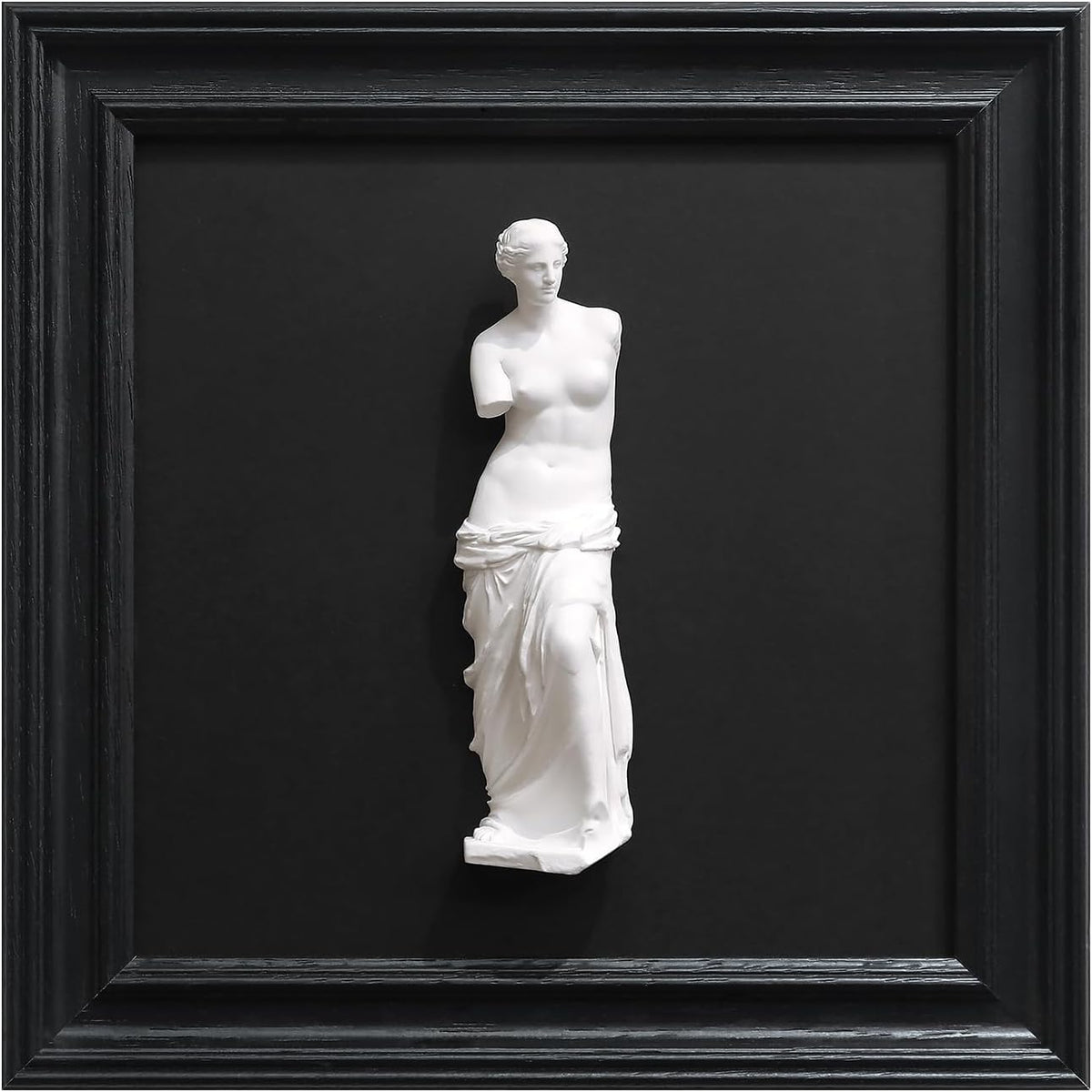 FOLKOR LIFE Framed Black and White Wall Sculpture Venus de Milo