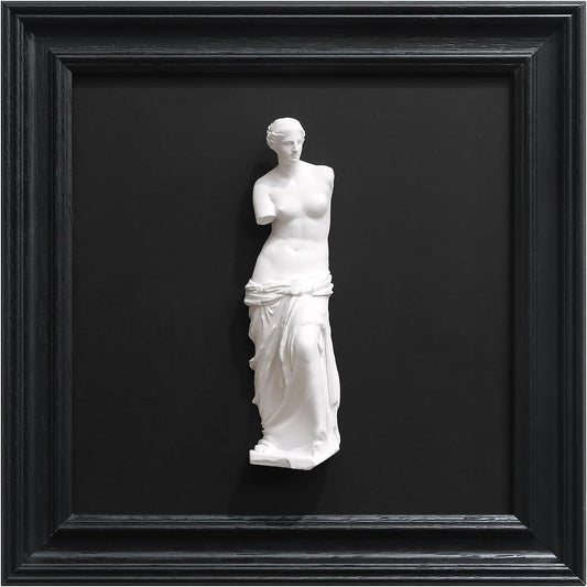 FOLKOR LIFE Framed Black and White Wall Sculpture Venus de Milo