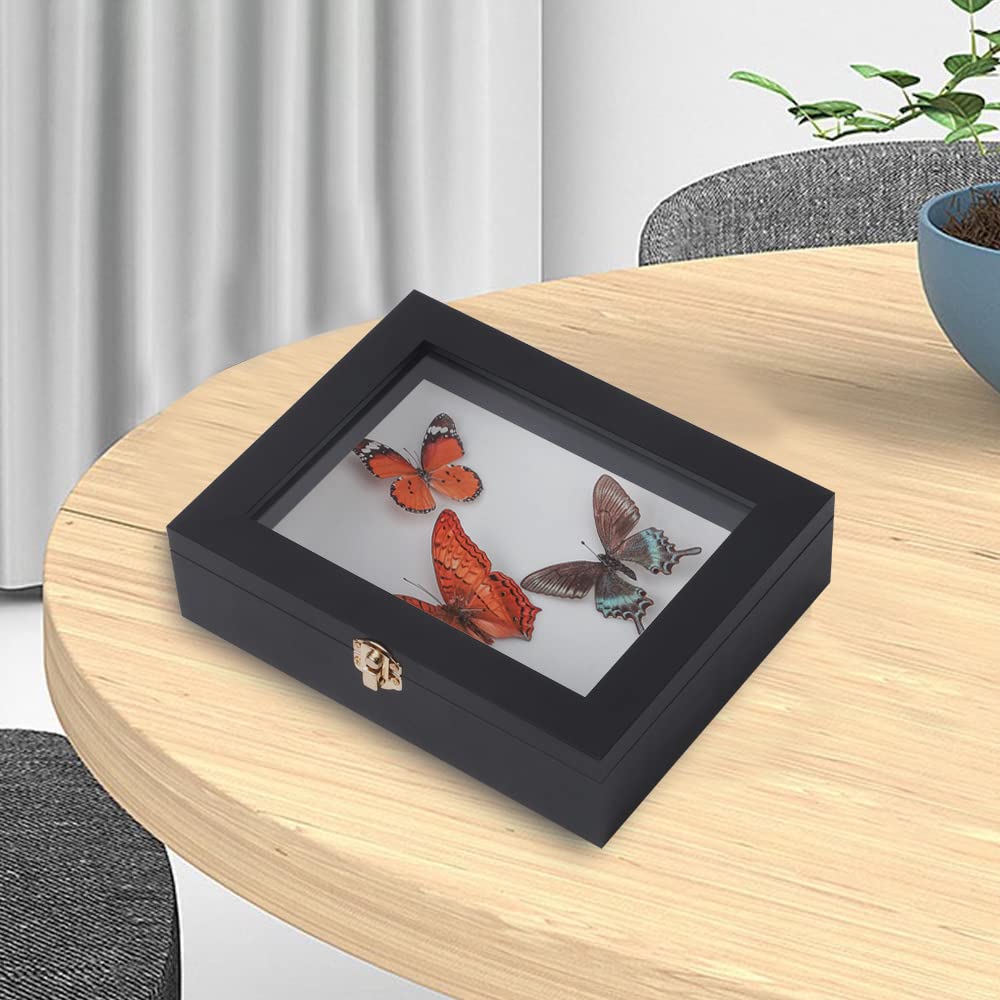IHEIPYE Insect Display Case Bug Display Case Shadow Box Small Black