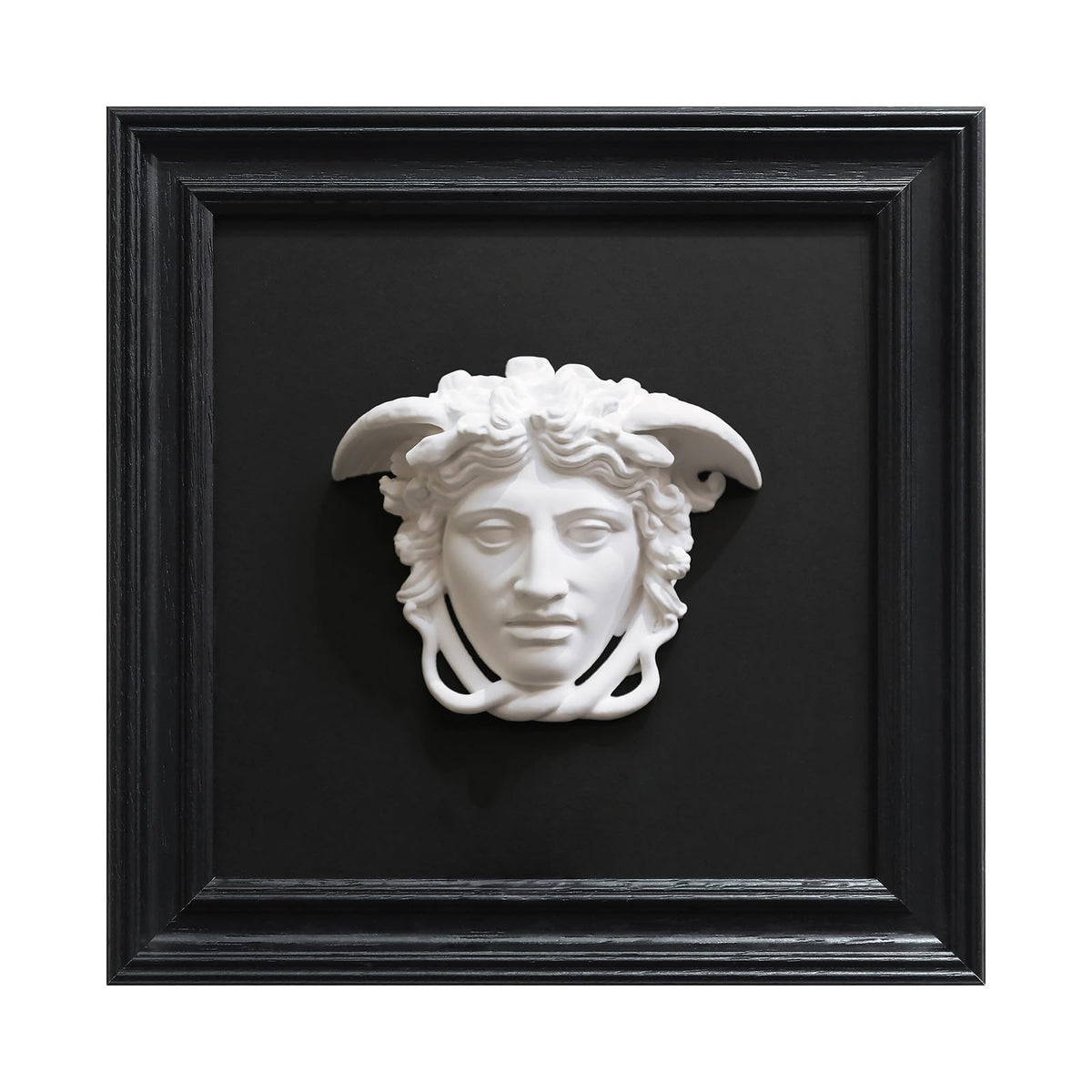 FOLKOR LIFE Framed Black and White Wall Sculpture Venus de Milo