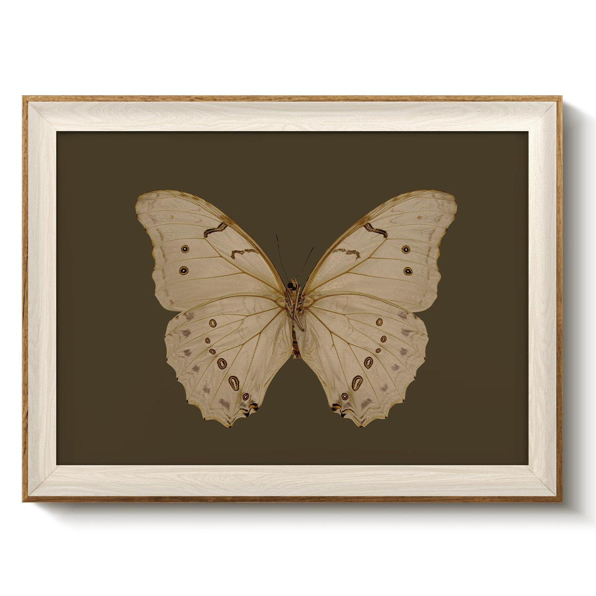 VIYYIEA Framed Wall Art for Living Room, Swan Wall Decor, 12×10 Inch