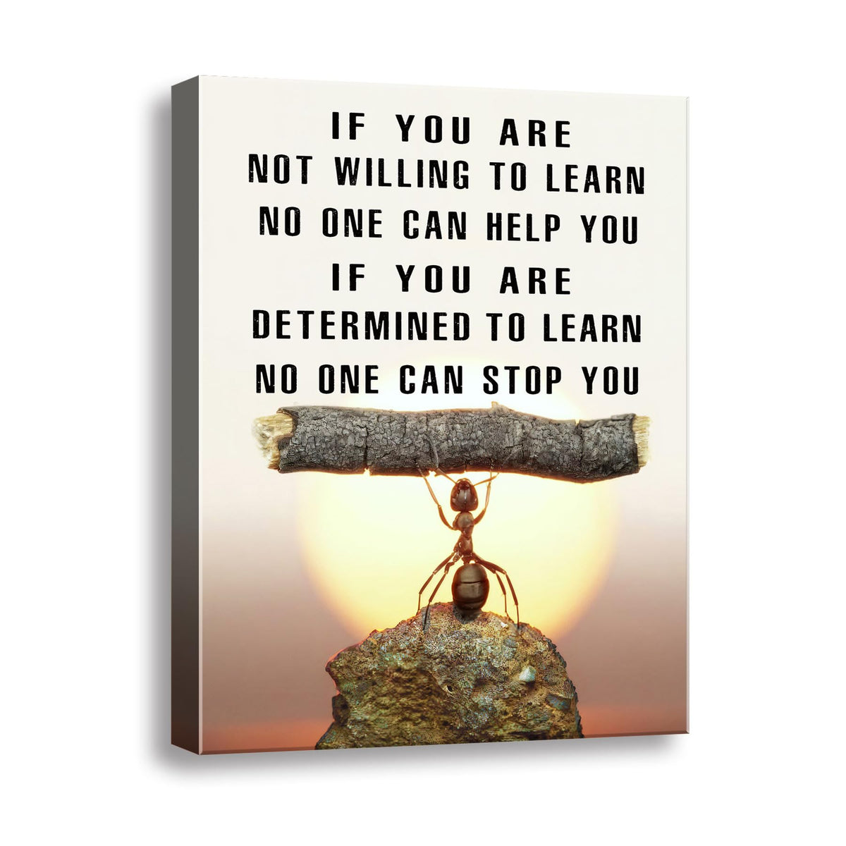 Ploceiny Inspirational Office wall art Motivational poster for home decor Positive Quotes wall prints Encouragement Gifts Positive Sayings for preppy room Wall Decor A-288