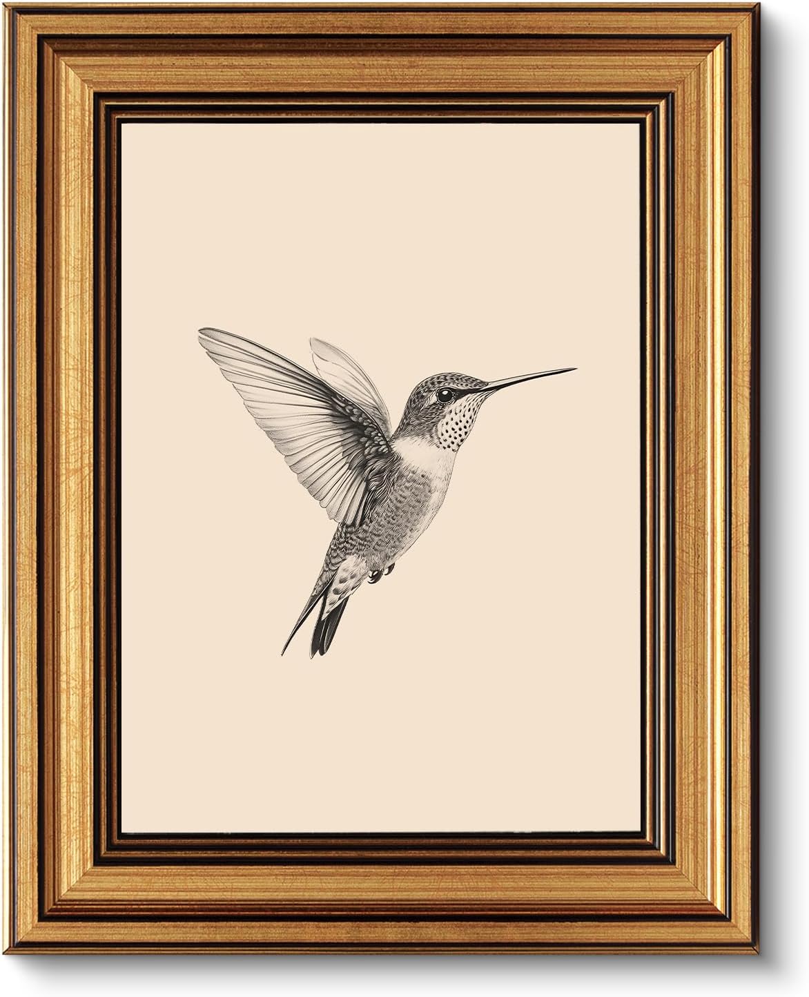 VIYYIEA Vintage Gold Framed Wall Art – Hummingbird Sketch, 8x10 IN