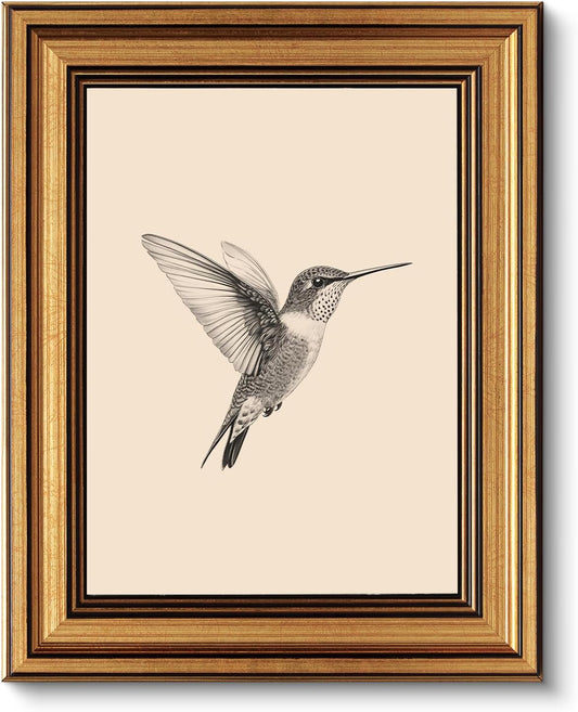 VIYYIEA Vintage Gold Framed Wall Art – Hummingbird Sketch, 8x10 IN