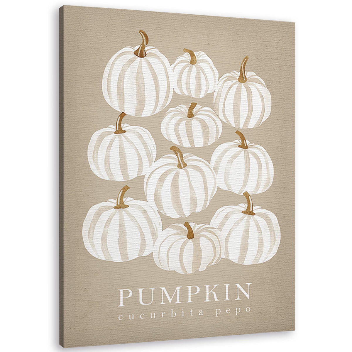TLESKE Fall Pumpkin Rustic Farmhouse Wall Art Decor 11x14 (White-01)