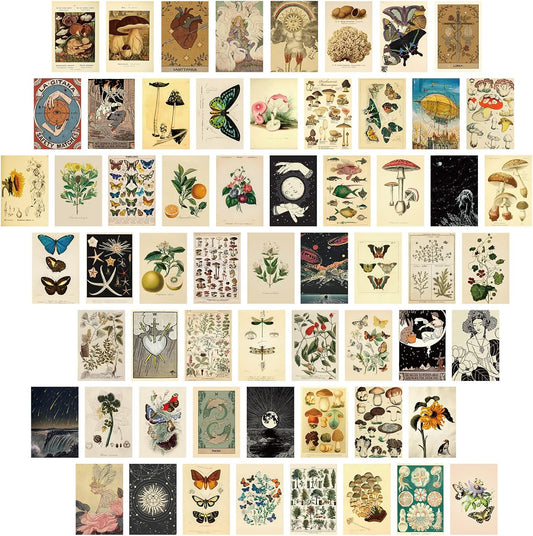 Containlol 60 Pcs Vintage Posters, Wall Collage Kit Aesthetic Pictures | Cottagecore Room Decor Maximalist Art Paintings Prints Botanical Illustration Prints Photo Wall Collection Dorm Bedroom Decor