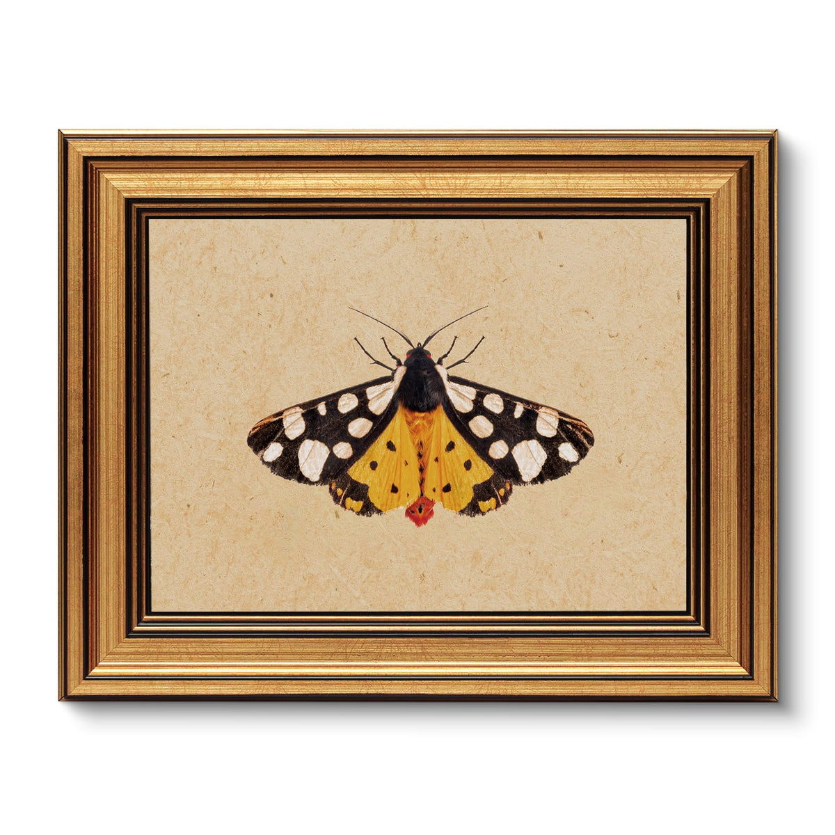 VIYYIEA Vintage Gold Framed Wall Art – Hummingbird Sketch, 8x10 IN